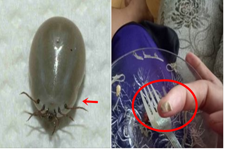 Netizen Shares Disgusting Discovery