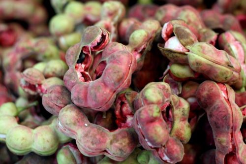 Manila Tamarind
