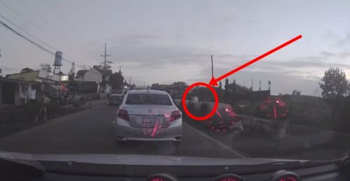 Irresponsible Motorist