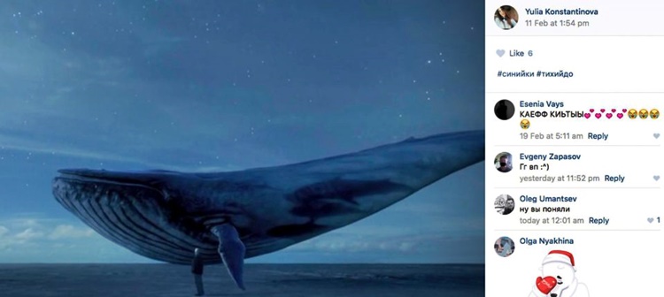 Blue Whale