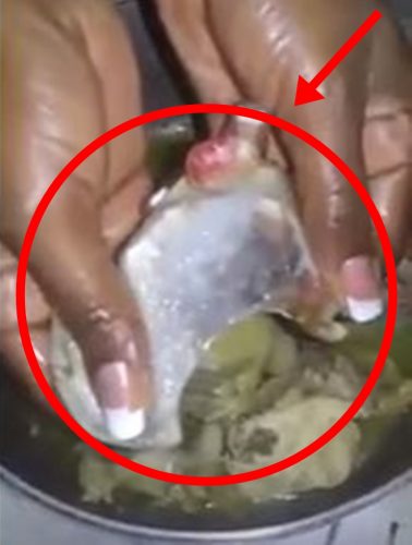 Imported Fake Chicken