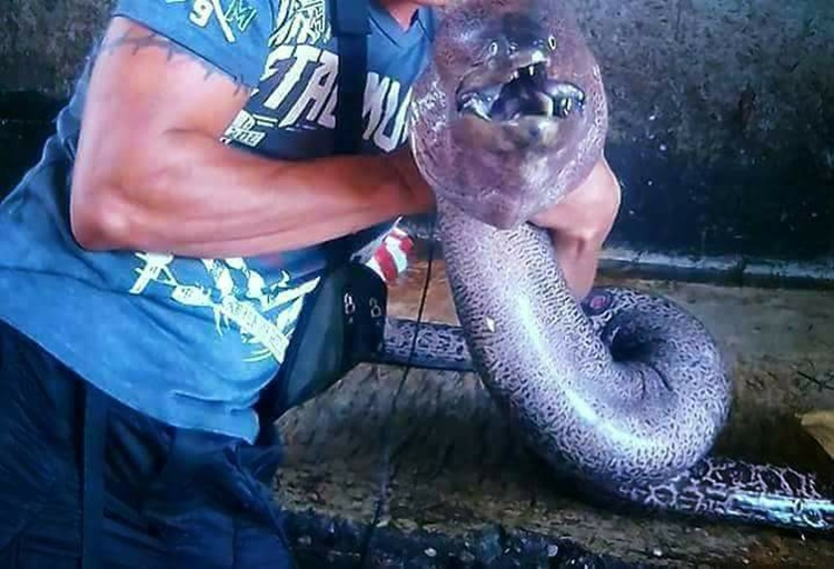 Mysterious Deep-Sea Creature