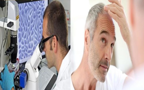 Scientists
