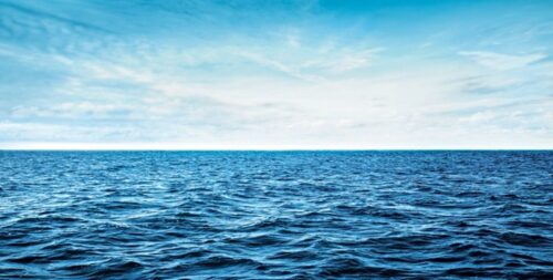 Giant Mysterious Sea Creature