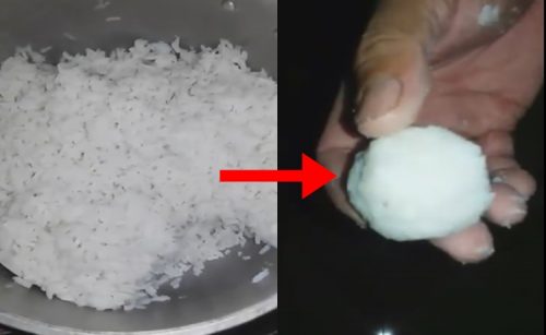Fake Rice
