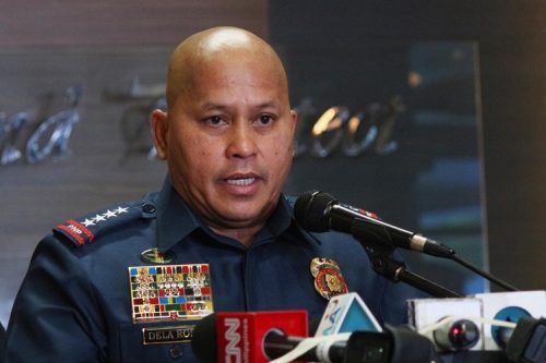 ronald dela rosa