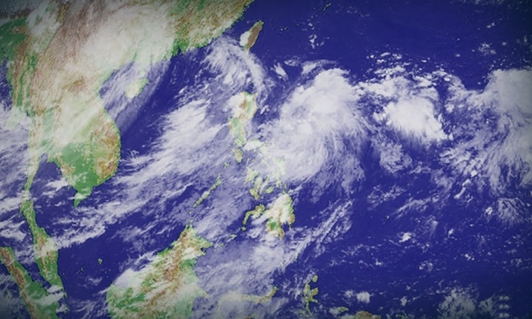 Tropical Storm