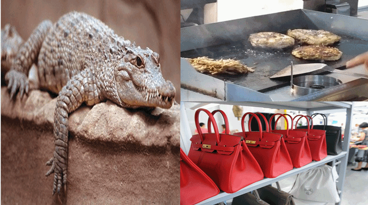 Filipino tycoon turns crocodiles into sisig, Louis Vuitton