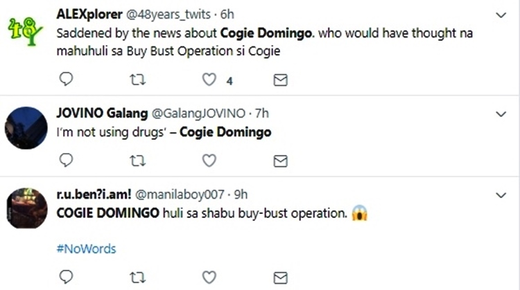 cogie domingo