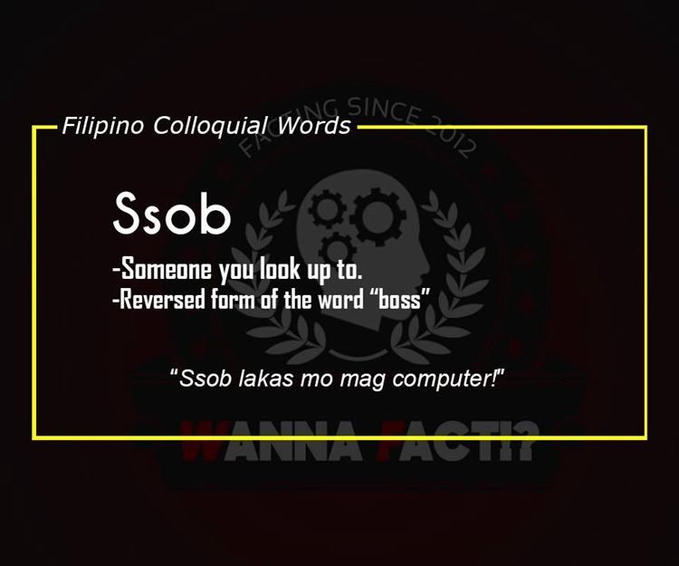what is vile meaning in tagalog