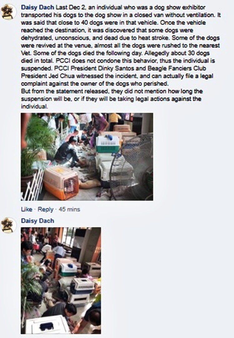 Philippine Canine Club Inc.