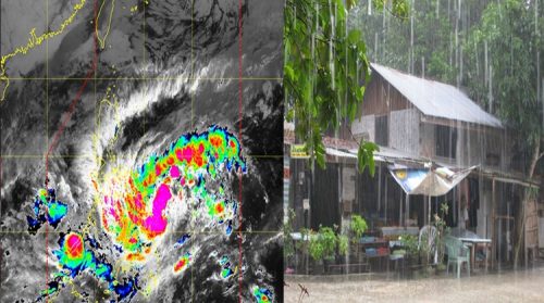 Tropical Cyclone Signal