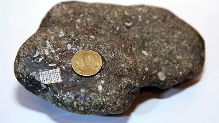 Microchip