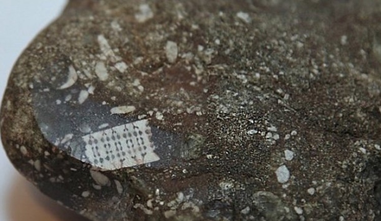 Microchip