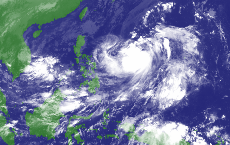 Tropical Cyclone Forecast
