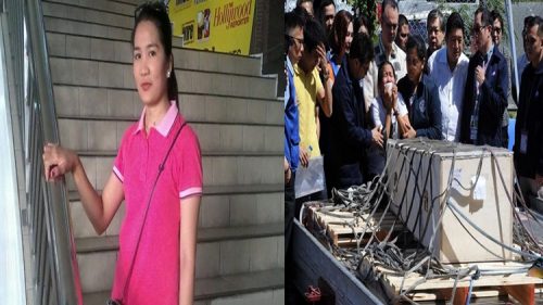 Joanna Demafelis' Alleged Recruiter