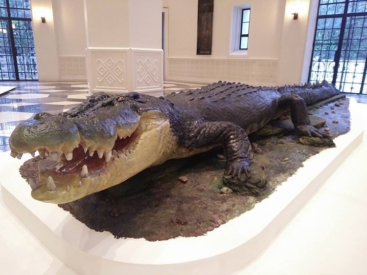 Most Interesting Attractions In Newly-Opened National Museum Of Natural ...