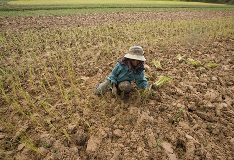 El Nino Sa Pilipinas