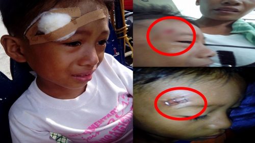 Public School Teacher