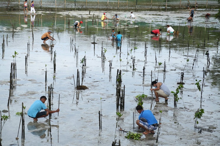 Boracay Island’s Rehabilitation