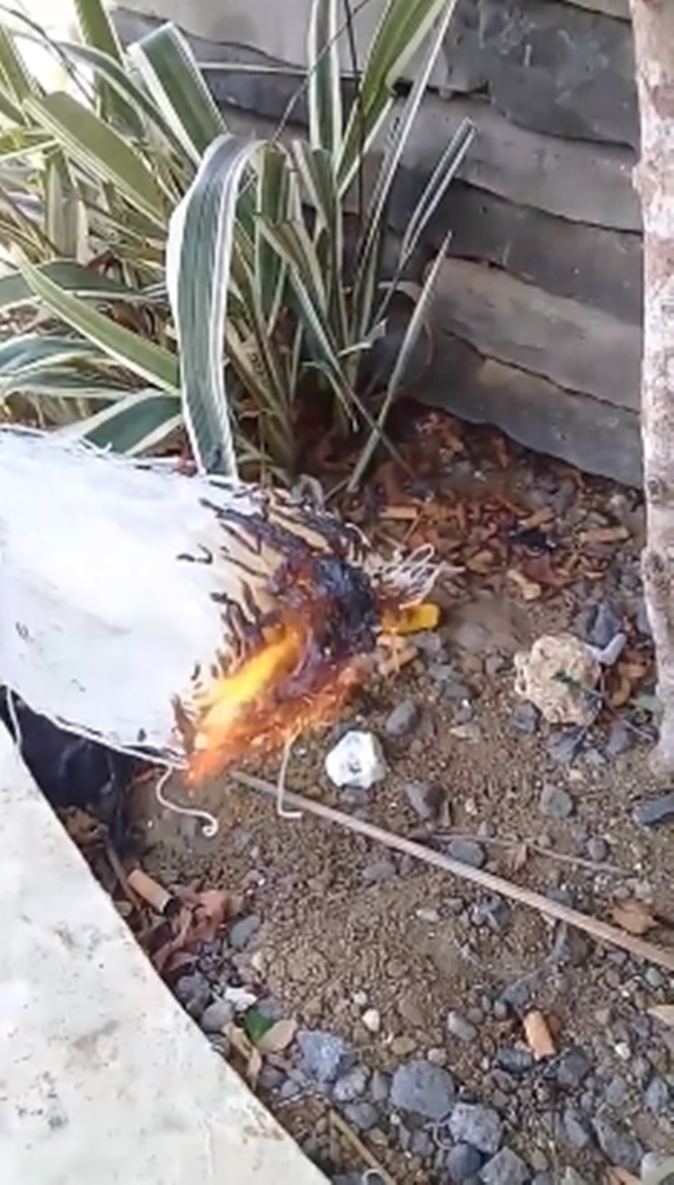 Alleged Plastic Sotanghon