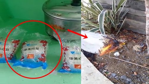 Alleged Plastic Sotanghon