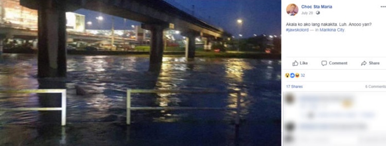 Mysterious Sea Creature