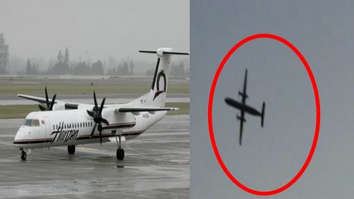 Airline mechanic steals a plane from Seattle airport and crashes