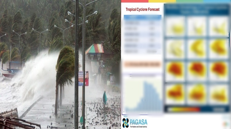 Tropical Cyclone Forecast