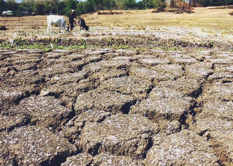 El Nino Philippines 2024 Ddene Esmaria