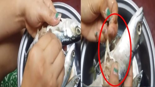Plastic Skin