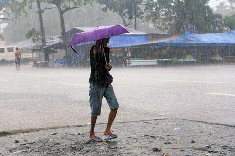 Latest Weather Updates