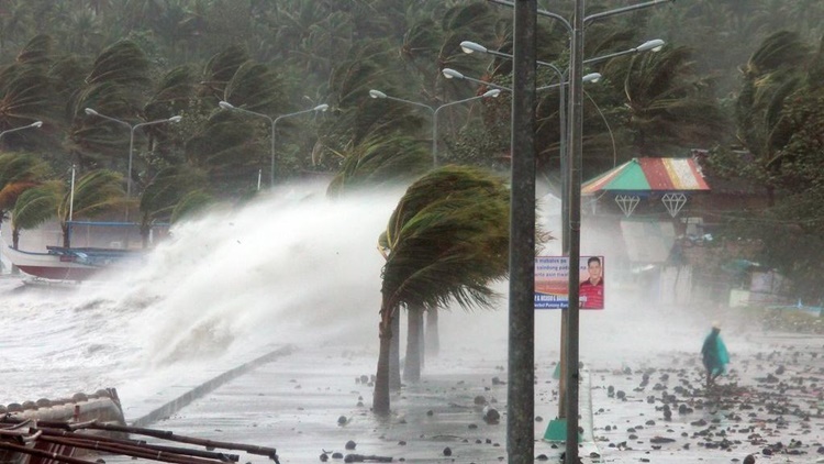Tropical Cyclone Forecast