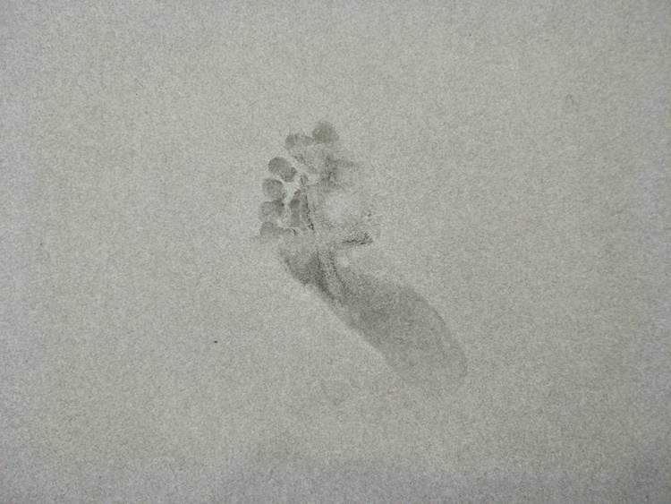 Mysterious Baby Footprints