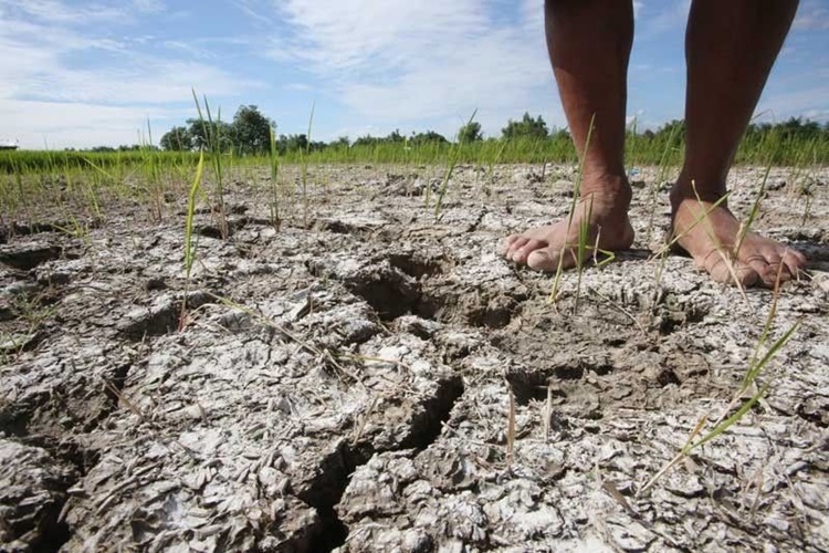Research Says Ph Expects 70 75 Of El Niño Phenomenon This October