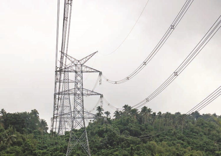 Monster Storm “Rosita”