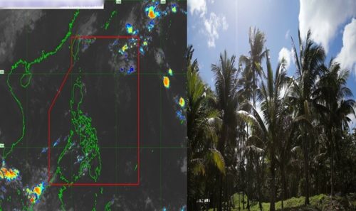 Latest Weather Updates