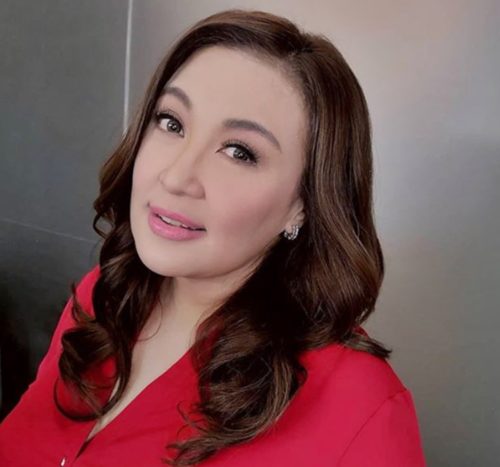 Kris Aquino 's Son Bimby Said This About Sharon Cuneta