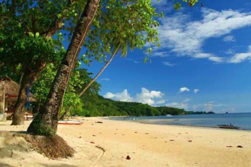 Artistic Diving Resort