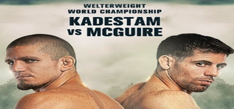 ONE Welterweight World Championship Livestream Kadestam Vs. McGuire