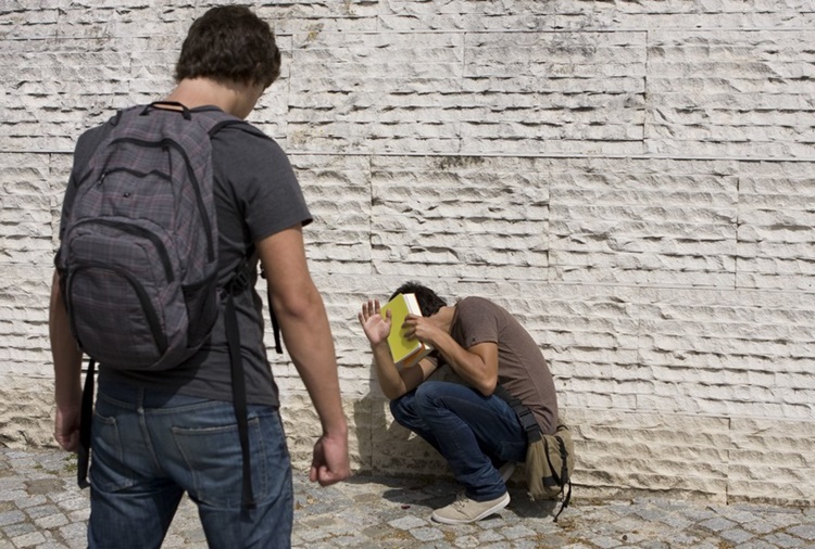Bullying Victims