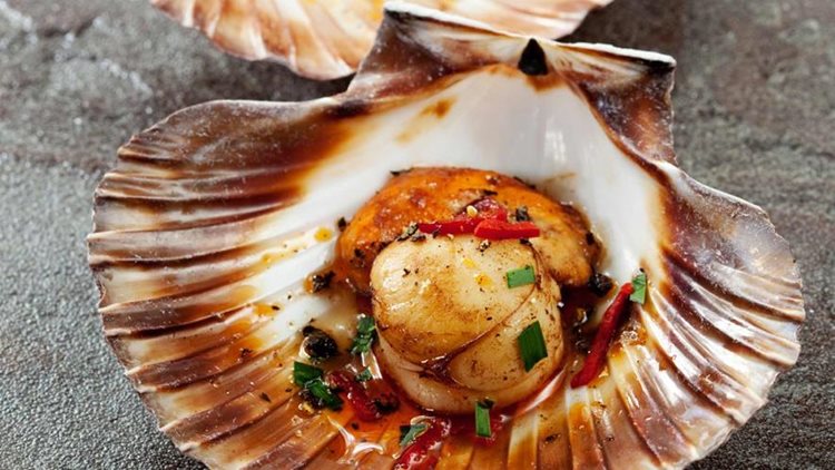 Expensive Scallops In Visayan Sea Bought From Fishermen For Only P1