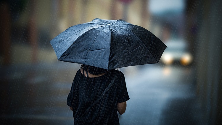 Latest Weather Updates