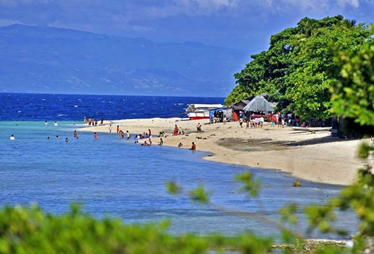 Dolphin-House Resort SPA Diving: A 'Little Paradise' In ...