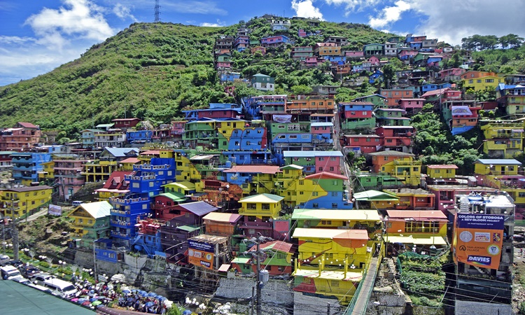 Benguet Farmers Forced To Dispose A Ton Of Carrots Due To Oversupply