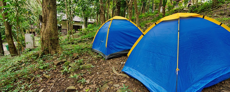 Mambukal Resort