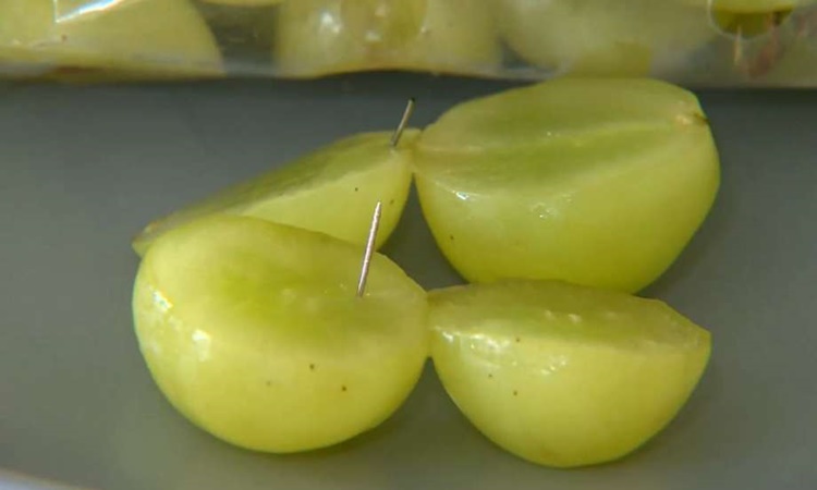 Needles in grapes 2