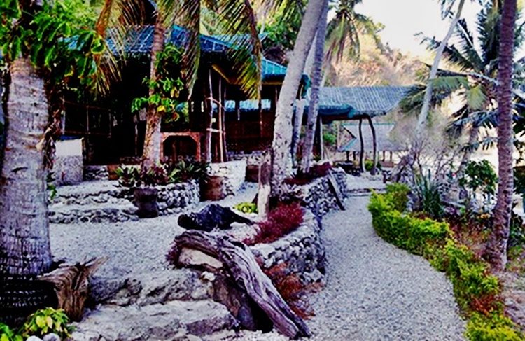 Punta Verde Dive