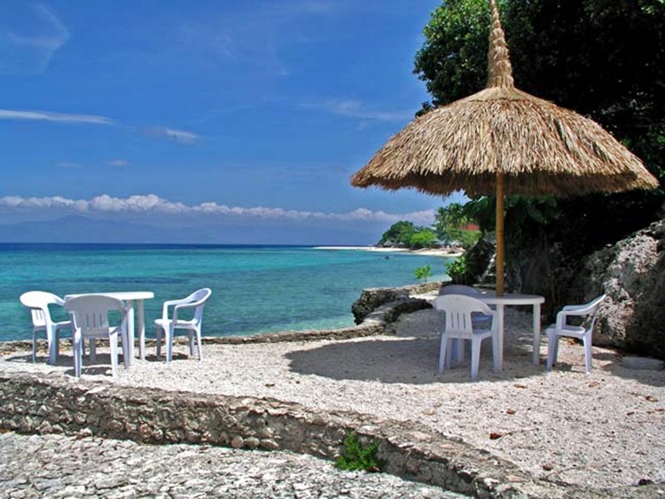 Dolphin-House Resort SPA Diving: A 'Little Paradise' In Moalboal, Cebu