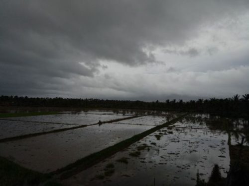 Low-Pressure Area’s Trough